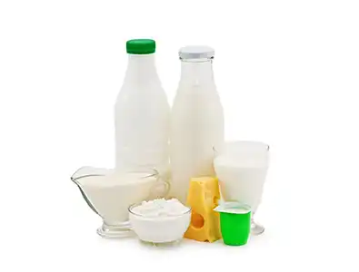 Agri-food Industry